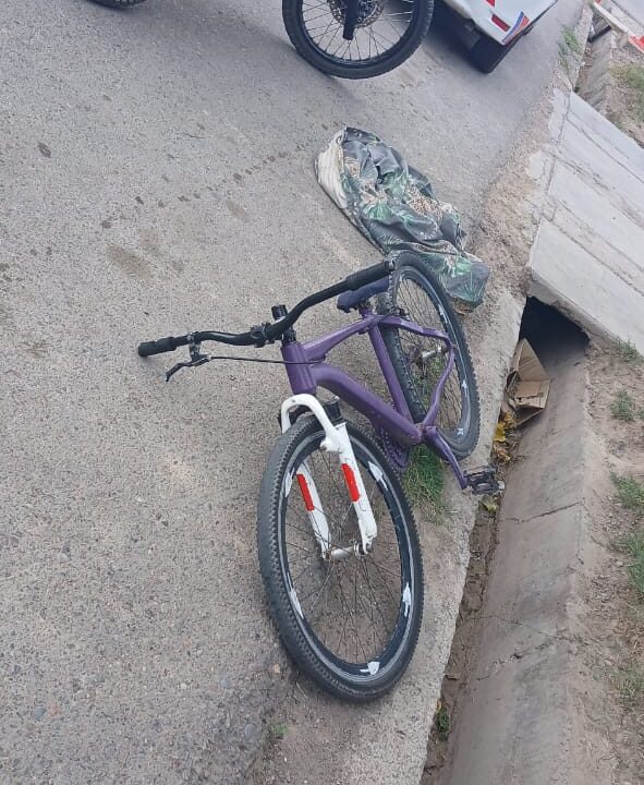 Atrapan a ladrón de bicicleta 🚲 en Albardon SJ