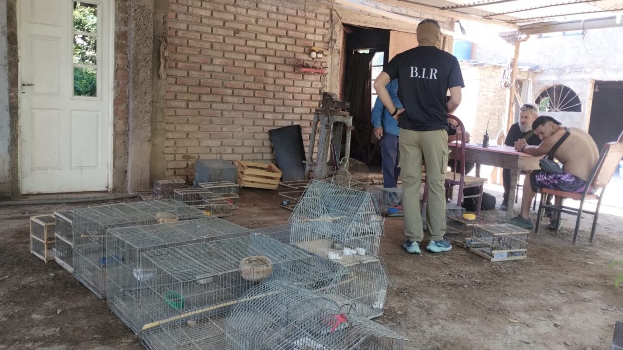 Un Auto Robado Y Muchas Aves Fue El Resultado En Un Operativo