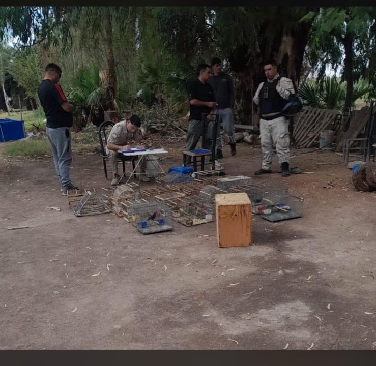 Atraparon En Caucete y Albardon SJ A Depredadores